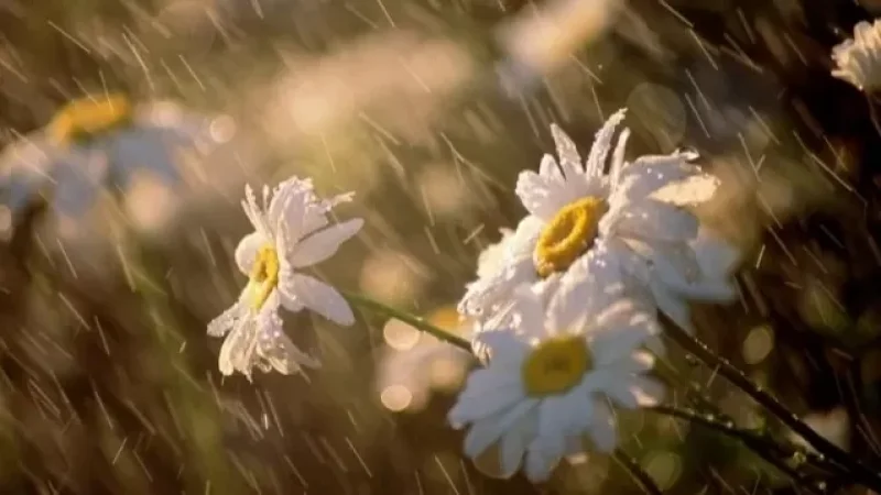 Եղանակը Հայաստանում. կարճատև անձրև և ամպրոպ, կարկուտ