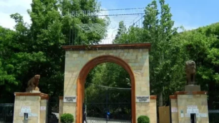 Կենդանաբանական այգին չի տեղափոխվի Դալմայի այգիներ, այն կընդլայնվի տեղում