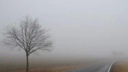 Գորիսում և Կապանում մառախուղ է