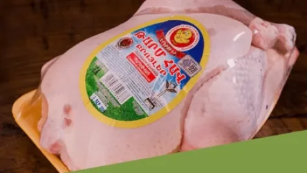 Ուսումնասիրվել է «Էրեբունի» ապրանքանիշի թռչնամիսը. հայտնի են հետազոտության արդյունքները