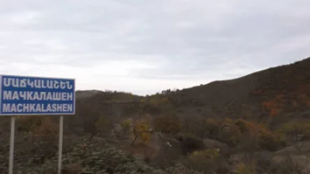 Թշնամու կրակոցների պատճառով Արցախի Մաճկալաշենում չի հաջողվել նախատեսված չափով մշակել խաղողի այգիները