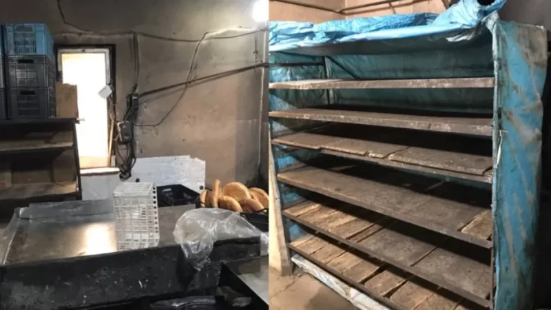 Երևանում կասեցվել է հացի արտադրամասի գործունեությունը․ եղել են սանիտարահիգիենիկ նորմերի խախտումներ