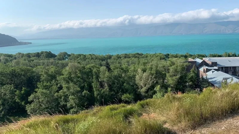 «Սևան» ազգային պարկում 8000 սոճի ամբողջությամբ չորացել է, 10 000-ը չորացման սպառնալիքի տակ է․ ՇՄՆ