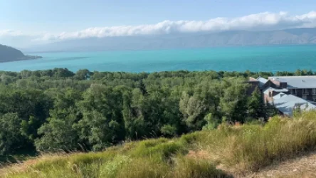 «Սևան» ազգային պարկում 8000 սոճի ամբողջությամբ չորացել է, 10 000-ը չորացման սպառնալիքի տակ է․ ՇՄՆ