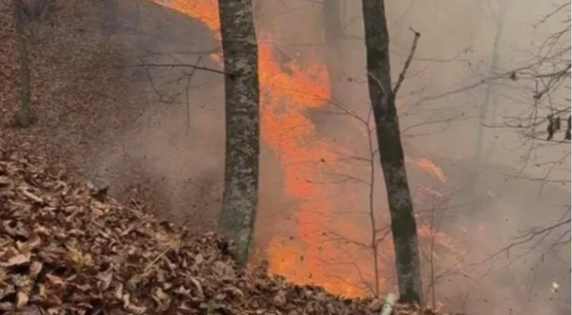 Դիլիջանի ոլորանների և «Լեռնային Հայաստան» առողջարանի հատվածներում բռնկված հրդեհները ամբողջությամբ մեկուսացված են․ ՆԳՆ