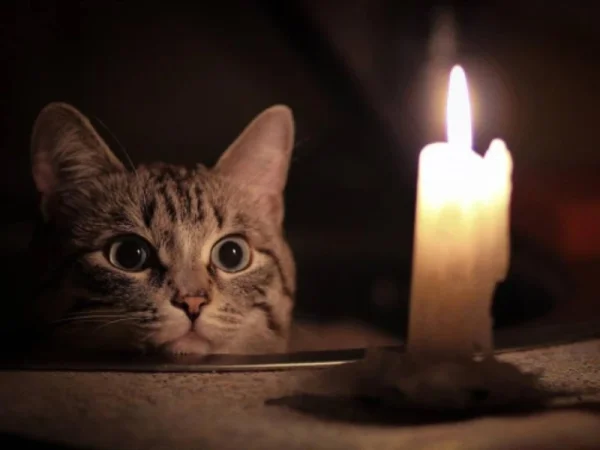 Երկար ժամանակով լույս չի լինելու Երևանում և 7 մարզերում