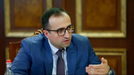 Որպես քաղաքական դիակ՝ դուրս կգա դահլիճից. Թորոսյան