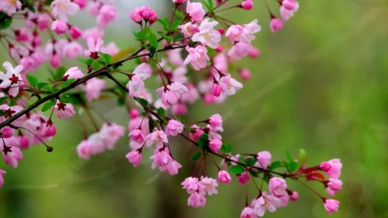 Եղանակը Հայաստանում առաջիկա օրերին