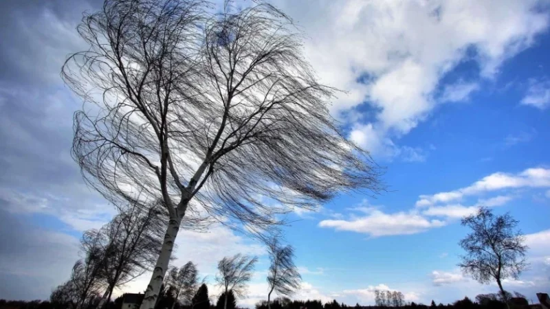 Սպասվում է քամու ուժգնացում. եղանակը ՀՀ-ում