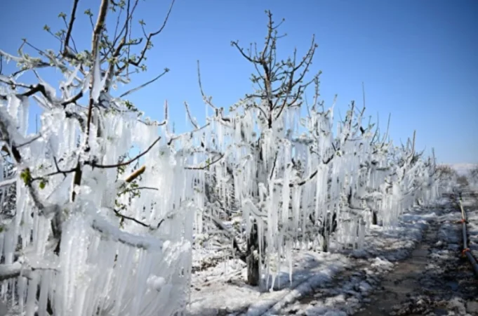 Թուրքիայում սառնամանիք է