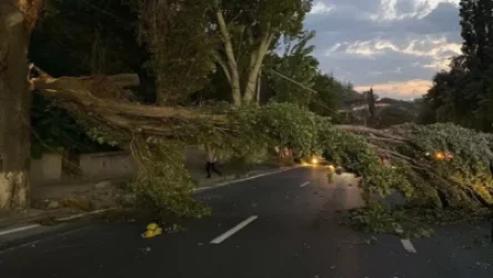 ԼՈՒՍԱՆԿԱՐՆԵՐ․ Տապալված ծառեր, պոկված գովազդային վահանակներ և տանիքների ծածկեր․ քամու վնասները