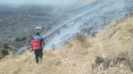 Աղավնաձոր գյուղի «Ուլգյուր» կոչվող տարածքում հրդեհ է բռնկվել