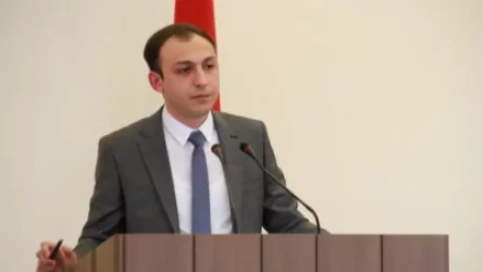 ՏԵՍԱՆՅՈՒԹ. «Մարդիկ շարունակում են միմյանցից օգնություն խնդրել սոցիալական ցանցերի միջոցով». Արցախի ՄԻՊ