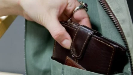 61-ամյա կինը դրամապանակ է գողացել