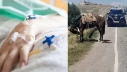 Ձիուց ընկած 10-ամյա երեխայի մոտ դրական դինամիկա է նկատվում․ «Սուրբ Աստվածամայր» ԲԿ