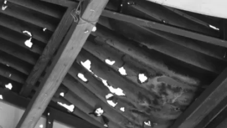 ԼՈՒՍԱՆԿԱՐՆԵՐ․ Անկել են անասունները, վնասվել են մեքենաներ ու տան տանիքներ․ երեկվա կարկուտի վնասները