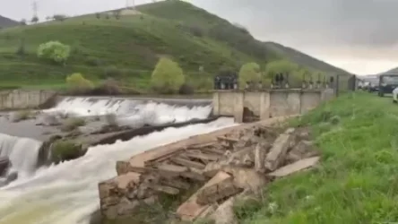 2 տարեկան երեխայի որոնողական աշխատանքների ընթացքում կիրառվում են ԱԹՍ-ներ