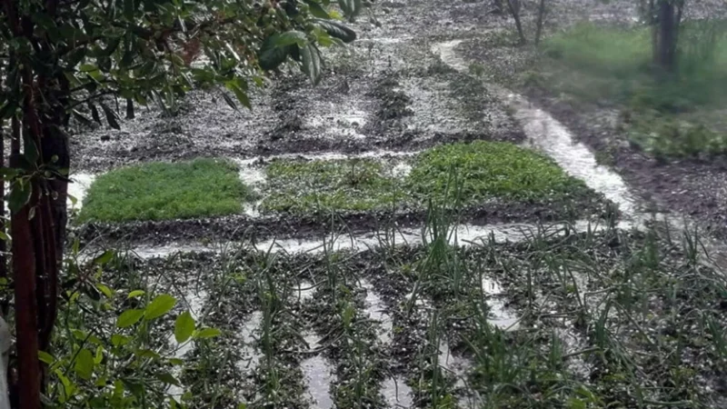 Արտաշատում կարկուտը վնասել է բերքը, տների ապակիները և տանիքները