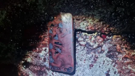 ԼՈՒՍԱՆԿԱՐՆԵՐ. Պարզվում են Երևանում կատարված սպանության հանգամանքները. նոր մանրամասներ