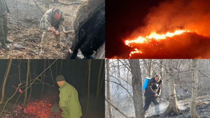 Հրապարակվել է խոտածածկ և բուսածածկ տարածքներում բռնկված հրդեհների վերաբերյալ ամփոփ տեղեկատվություն