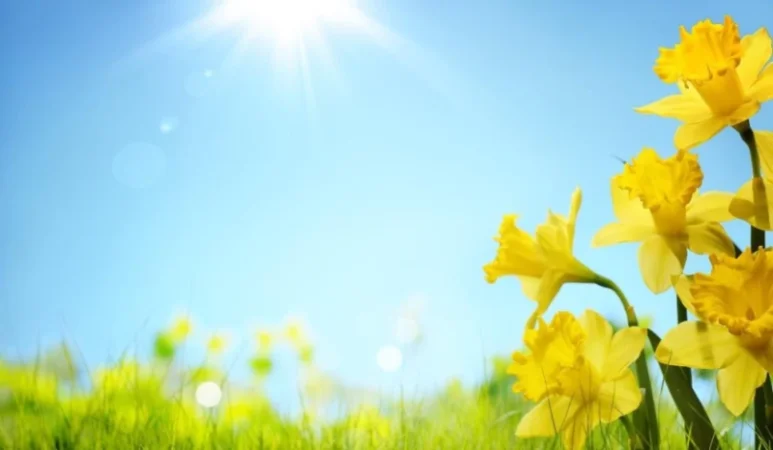 Օդի ջերմաստիճանը կբարձրանա. եղանակն առաջիկա օրերին