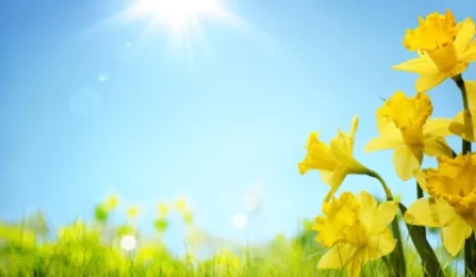 Օդի ջերմաստիճանը կբարձրանա. եղանակն առաջիկա օրերին