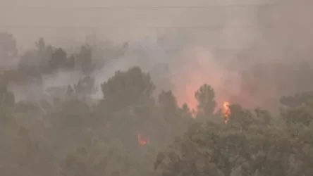 ՏԵՍԱՆՅՈՒԹ. Երեք խոշոր հրդեհ է բռնկվել Պորտուգալիայում. այրվել է մոտ 7000 հեկտար տարածք