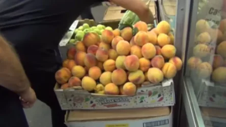 ՏԵՍԱՆՅՈՒԹ. Բացօթյա առևտրի դեմ տուգանքից բացի, կառգրավվի նաև վաճառվող ապրանքը