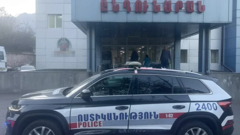 Սյունիքի պարեկներն ու բժիշկները փրկել են անգիտակից վիճակում գտնվող 2-ամյա երեխայի կյանքը. մանրամասներ