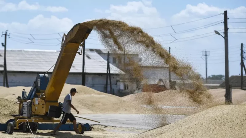 Ռուսաստանը մինչև 50 հազար տոննա անվճար հացահատիկ կմատակարարի աֆրիկյան վեց երկրներին