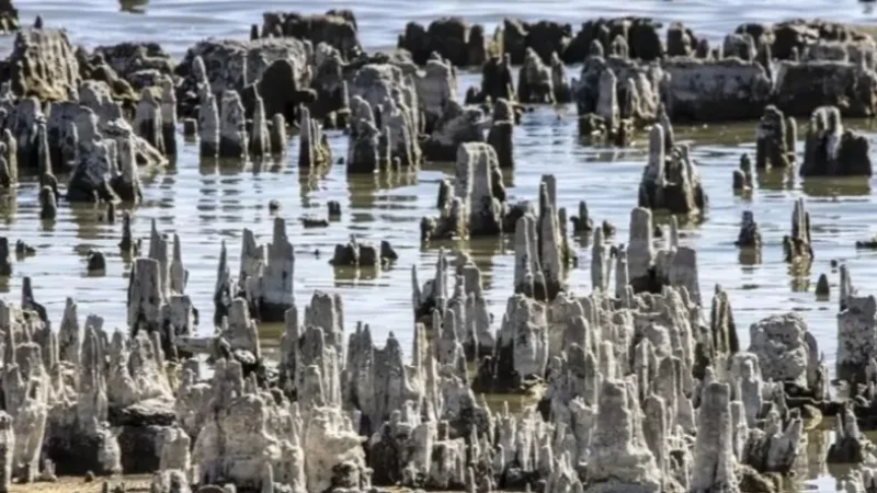 Վանա լճի մակարդակը զգալիորեն իջել է․ բնապահպանները անհանգստանում են