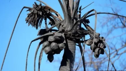 Հավայան Մաուի կղզում անտառային հրդեհների հետևանքով զոհերի թիվը հասել է 110-ի