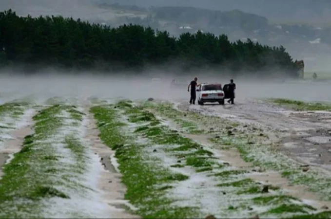 Կարկուտի ուժգին վնասները գյուղատնտեսությանը․ վնասները գույքագրվում են