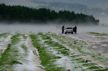 Կարկուտի ուժգին վնասները գյուղատնտեսությանը․ վնասները գույքագրվում են