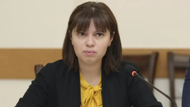 Երեխային ավելի եք վնասում, դադարեք տեսանյութը տարածել․ Տաթևիկ Ստեփանյան