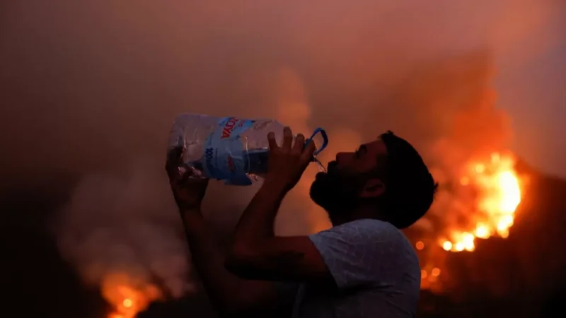 Forest Fires in Tenerife: Out of Control