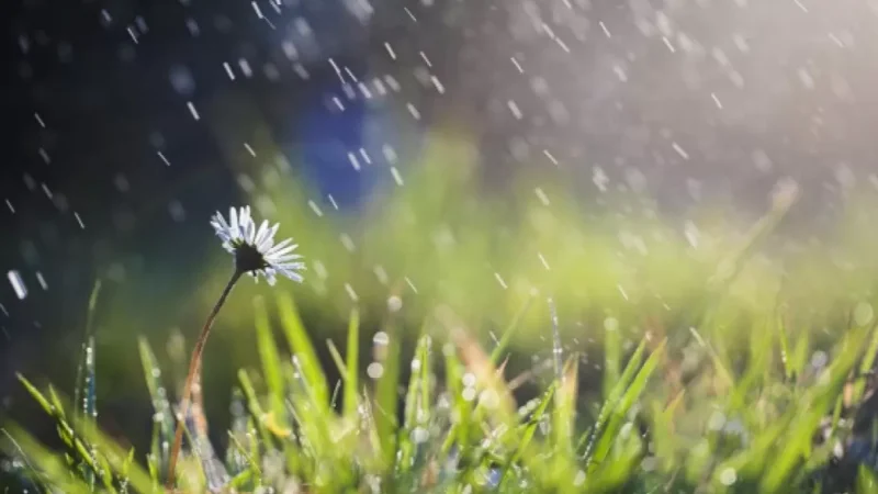 Օդի  ջերմաստիճանն աստիճանաբար կնվազի․ եղանակը ՀՀ-ում