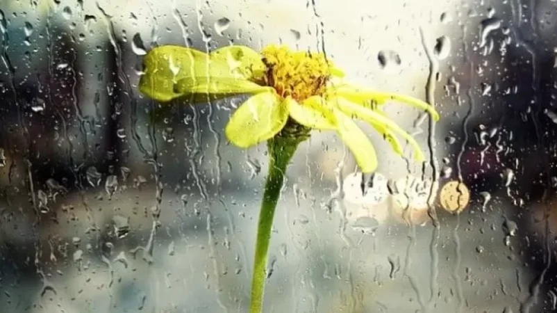 Առաջիկա օրերի եղանակը․ որոշ շրջաններում սպասվում է կարճատև անձրև և ամպրոպ