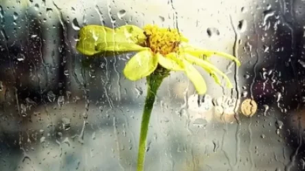 Առաջիկա օրերի եղանակը․ որոշ շրջաններում սպասվում է կարճատև անձրև և ամպրոպ