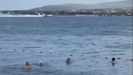 ՏԵՍԱՆՅՈՒԹ․ Գելենջիկի անտառային հրդեհների ֆոնին լողափում մարդիկ վայելում են իրենց հանգիստը