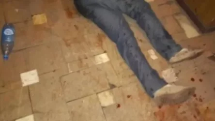 ՏԵՍԱՆՅՈՒԹ. Պարեկները խամ են, չգիտեն, որ պետք է այնպես խոշտանգել, որ բաժինը արյունլվիկ չանեն. Դանիել Իոաննիսյան