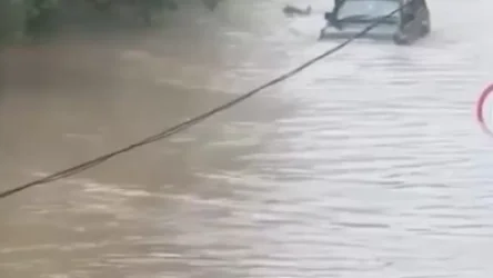 ՏԵՍԱՆՅՈՒԹ․ 300 տուն ջրի տակ է անցել, իսկ փողոցները գետեր են հիշեցնում․ Սախալին