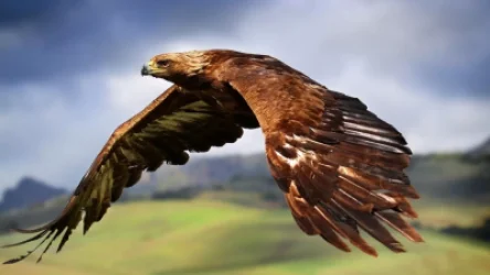 ՀՀ-ում առաջին անգամ արբանյակային տվիչ է տեղադրվել քարարծվի վրա