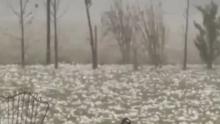 ՏԵՍԱՆՅՈՒԹ. Անսովոր ուժգնության կարկուտ է տեղացել Վրաստանի Կախեթի շրջանում