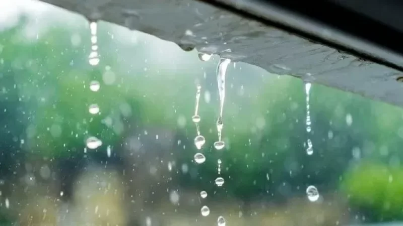 Առանձին վայրերում հնարավոր է մառախուղ. առաջիկա օրերի եղանակը