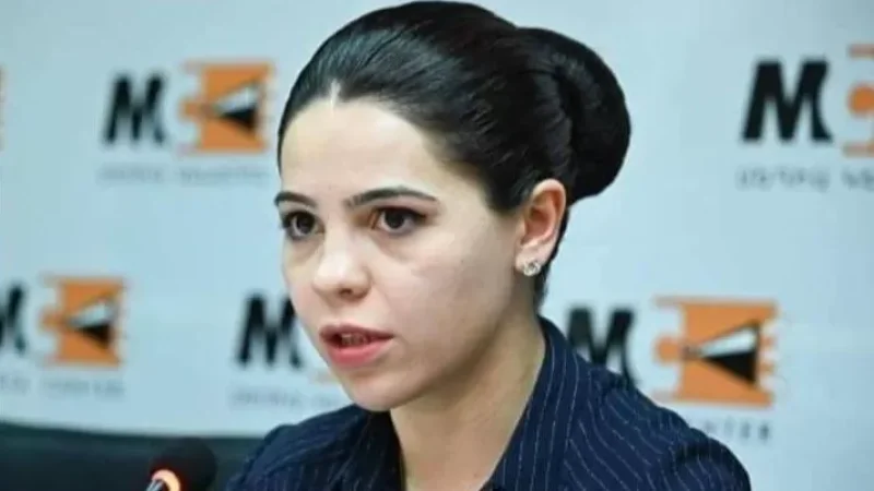 Ադրբեջանն իրոք գործողությունների է պատրաստվում ՀՀ–ի դեմ կամ էլ տեղեկատվական քարոզչական գիծ է․ ադրբեջանագետ