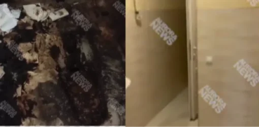 Պարզաբանում` «Տրոլեյբուսների պարկի» աղմկահարույց տեսանյութի վերաբերյալ