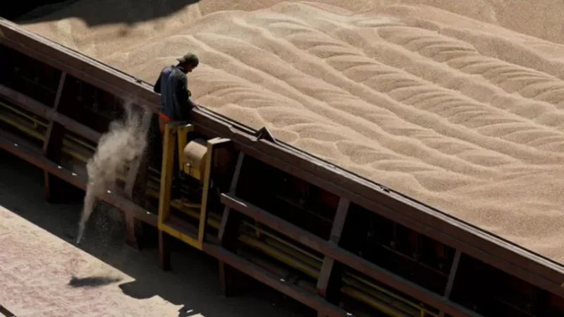 Ուկրաինան սկսել է հացահատիկ արտահանել խորվաթական նավահանգիստներով