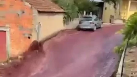 ՏԵՍԱՆՅՈՒԹ․ Անադիա քաղաքի փողոցները հեղեղվել են գինով. գործարանում վթար է տեղի ունեցել