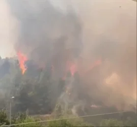 Խոշոր անտառային հրդեհ՝ Երուսաղեմում․ բնակիչներին տարհանել են